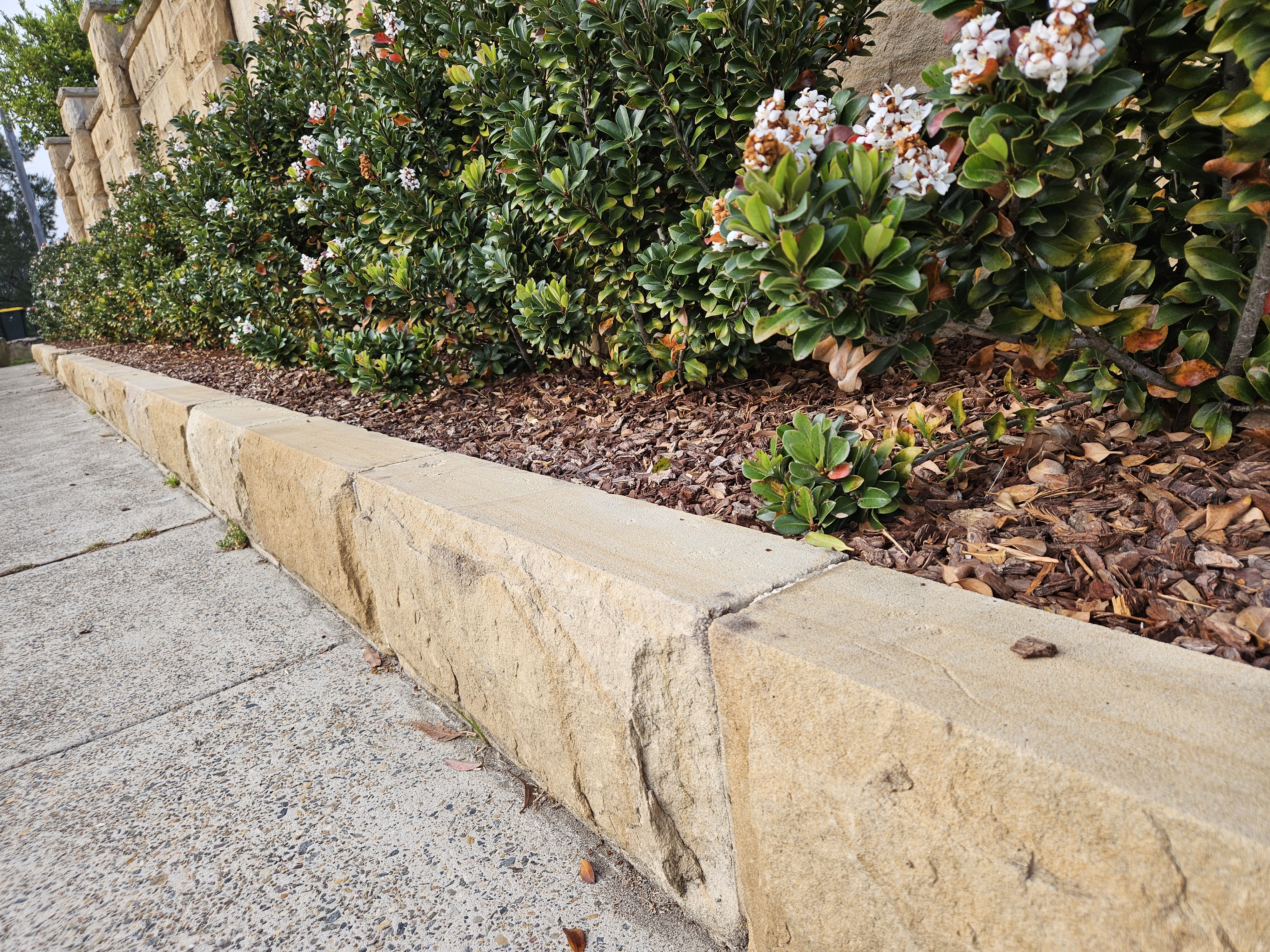 Sandstone garden edging separating a concrete path from a planted garden bed