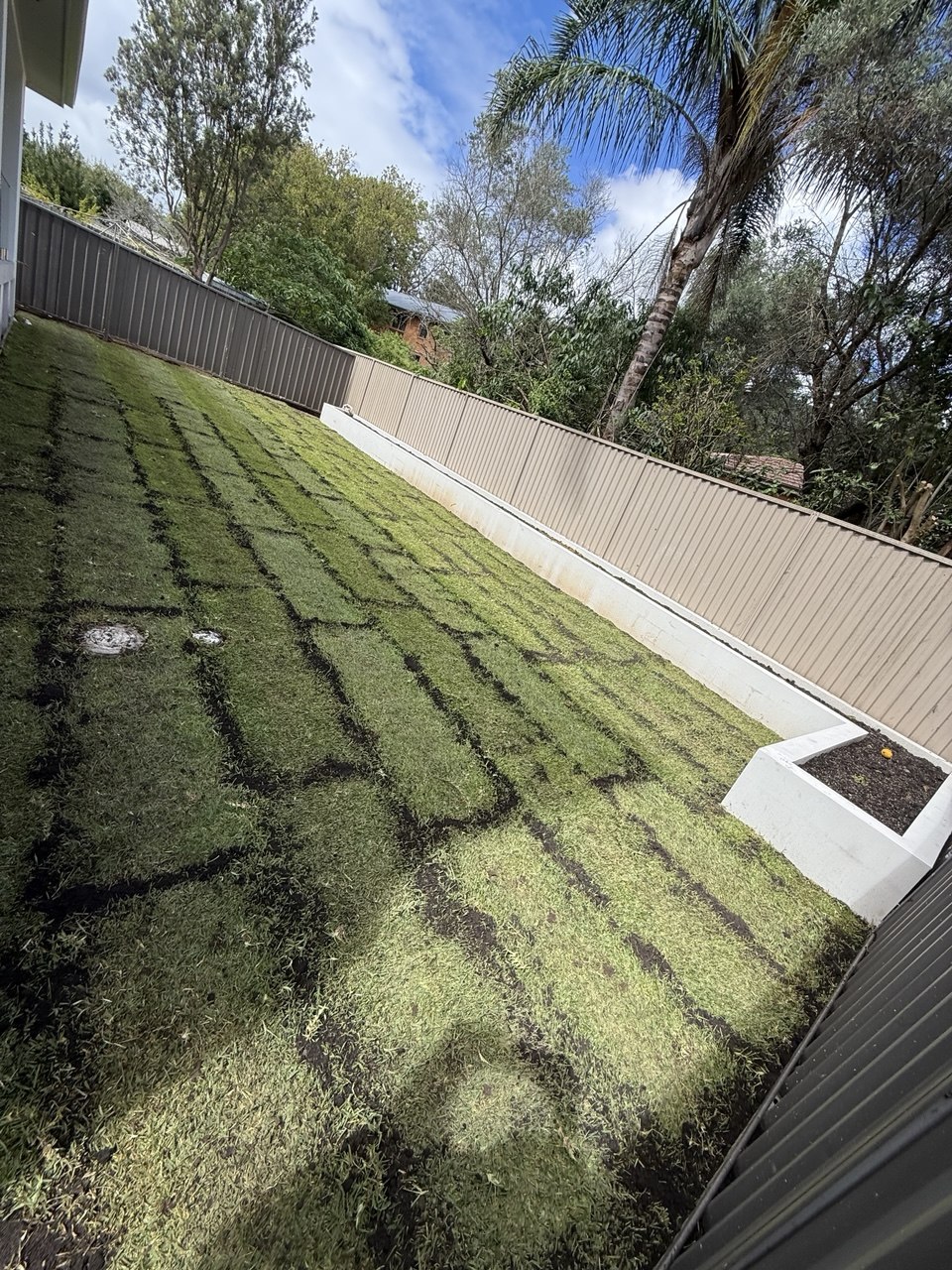 Finished rendered garden box and new turf in the same backyard after landscaping