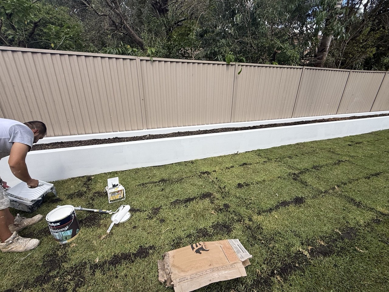Applying the Dulux Weathershield finish to the rendered garden box, Eastwood Sydney