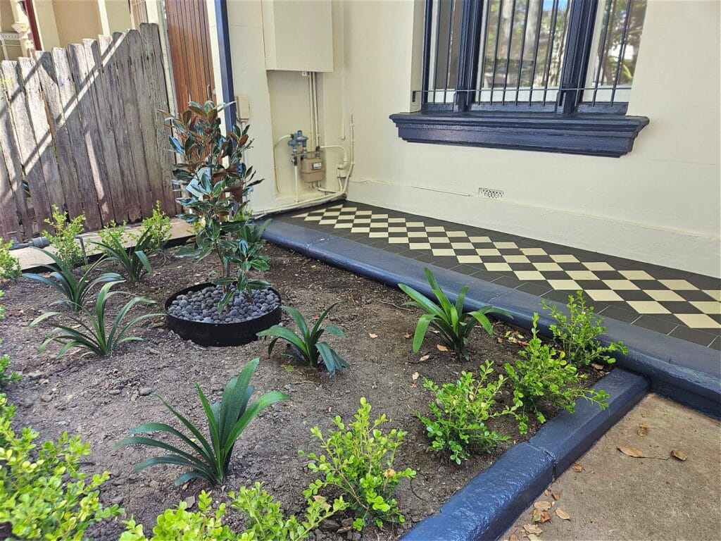 Tiled path and front garden on a terrace, Annandale