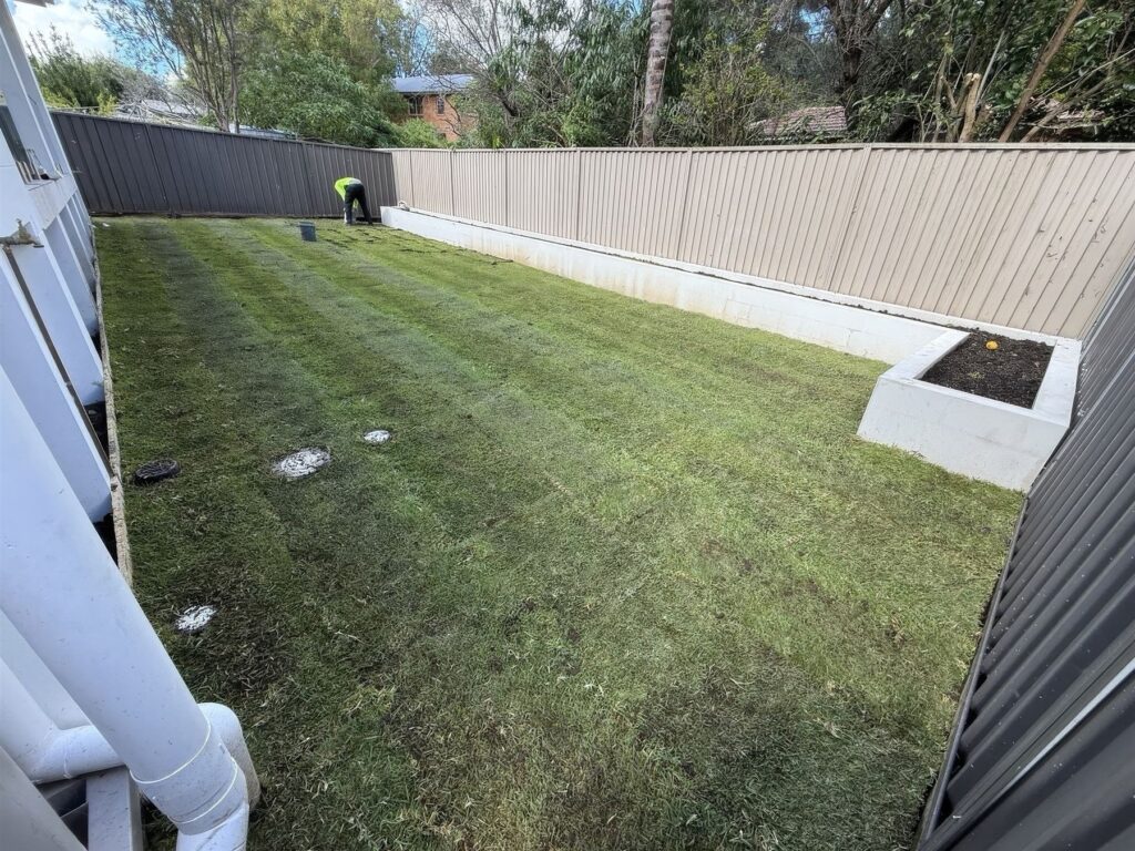 New turf along the side yard
