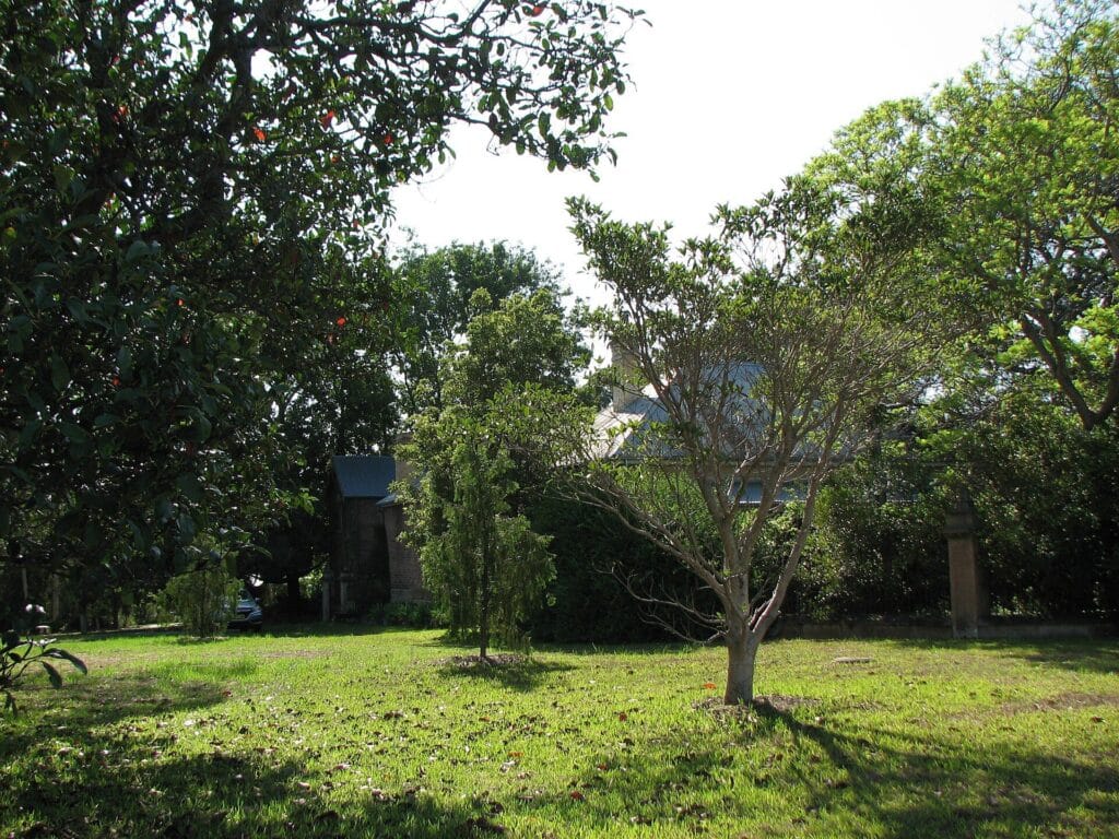 Garden of Riverview House, West Ryde